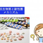 抗生物質で耐性菌のメカニズム なぜ、耐性菌は出現するのか?